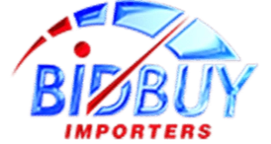 Bidbuy Importers Logo by Dolly SEO Agency Miami FL 33134 Bidbuy Importers Logo by Dolly SEO Agency Miami FL 33134